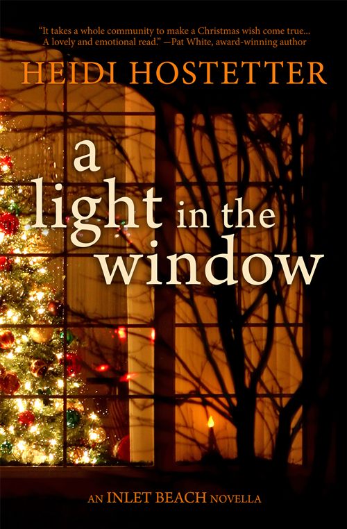 A Light in the Window book cover